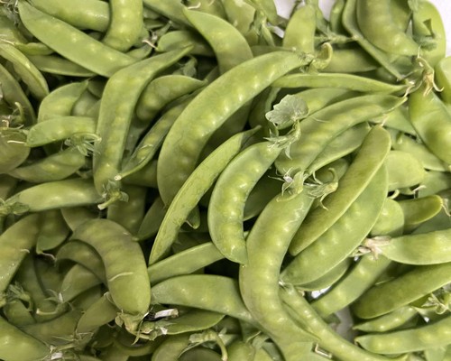 荷兰豆