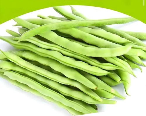 四季豆