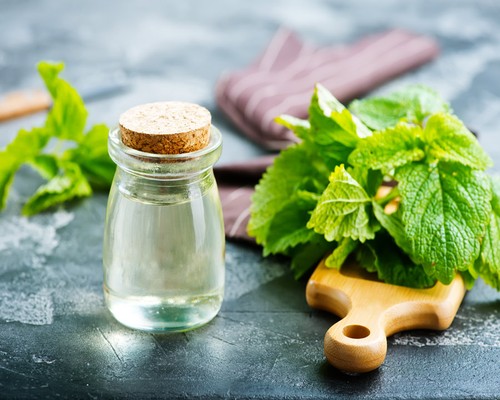 薄荷油